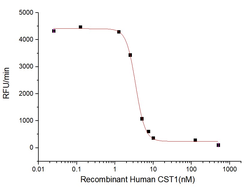 Human CST1 +Enzyme.jpg